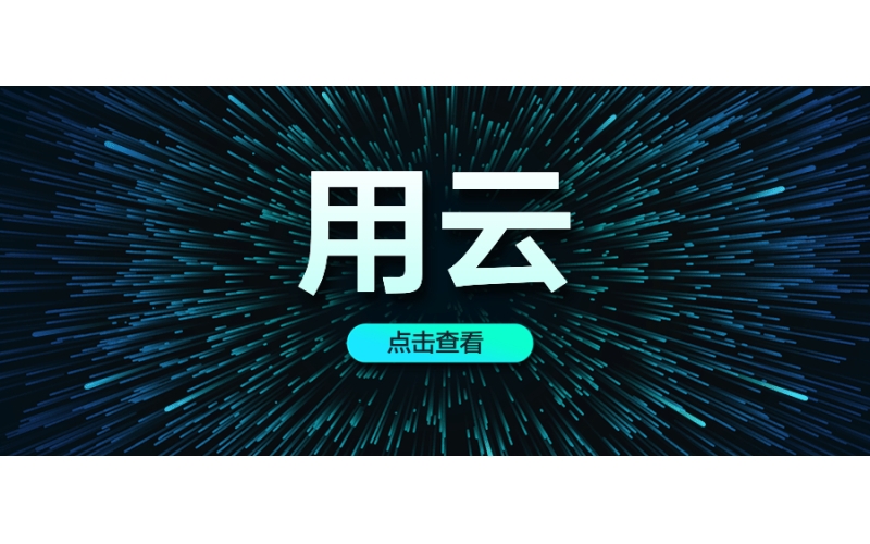 115X體系